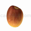 3D打印模型苹果