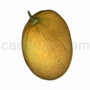 3D打印模型哈密瓜