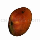 3D打印模型芒果