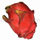 3D打印模型火龙果