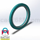 法国FRANCE_JOINT复合密封圈BECA316系列模型Step/iges/stl格式