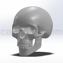 头骨骷髅头3D模型Solidworks设计