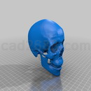 3D打印模型人类的头颅骨